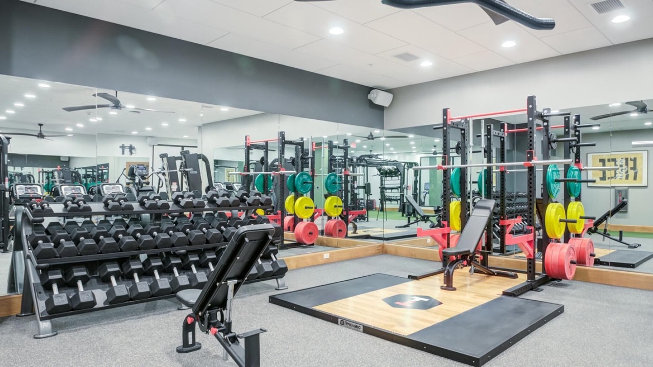 Photo of Others in Ithaca