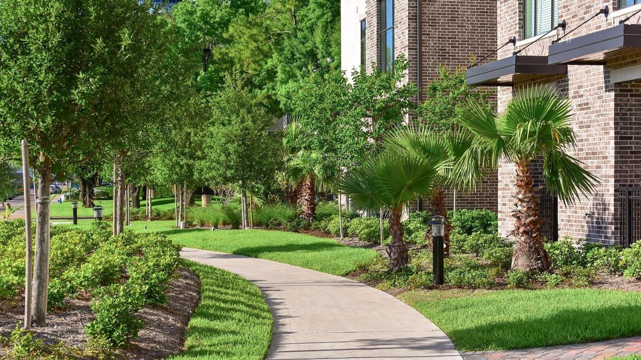 Photo of Outdoor in Westchase