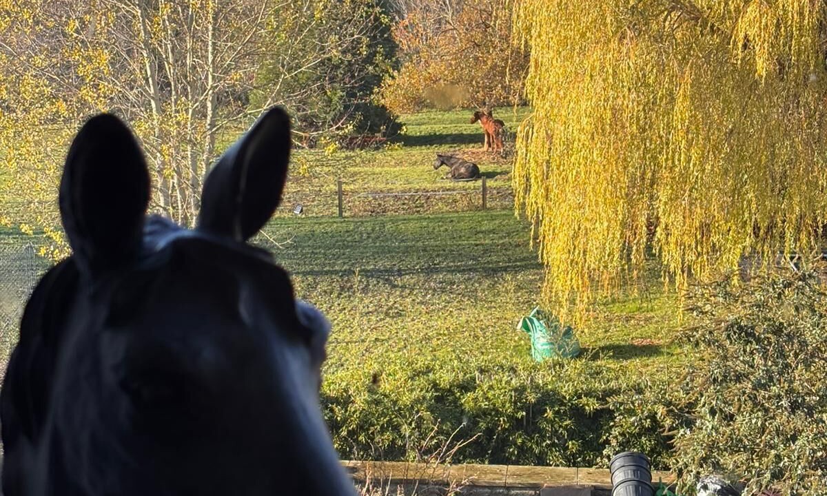 Photo of Others in Ardens Grafton