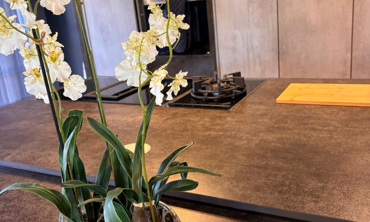 Photo of Kitchen in Ardens Grafton