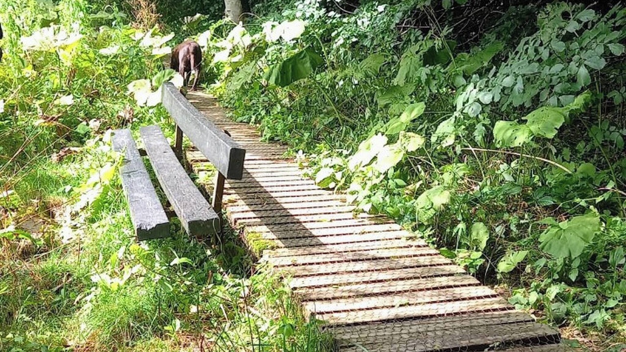 Photo of Others in Hawick