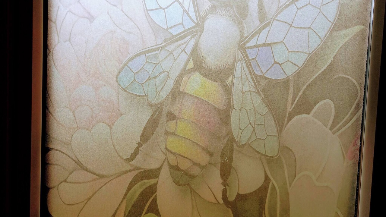 Photo of Others in Hawick