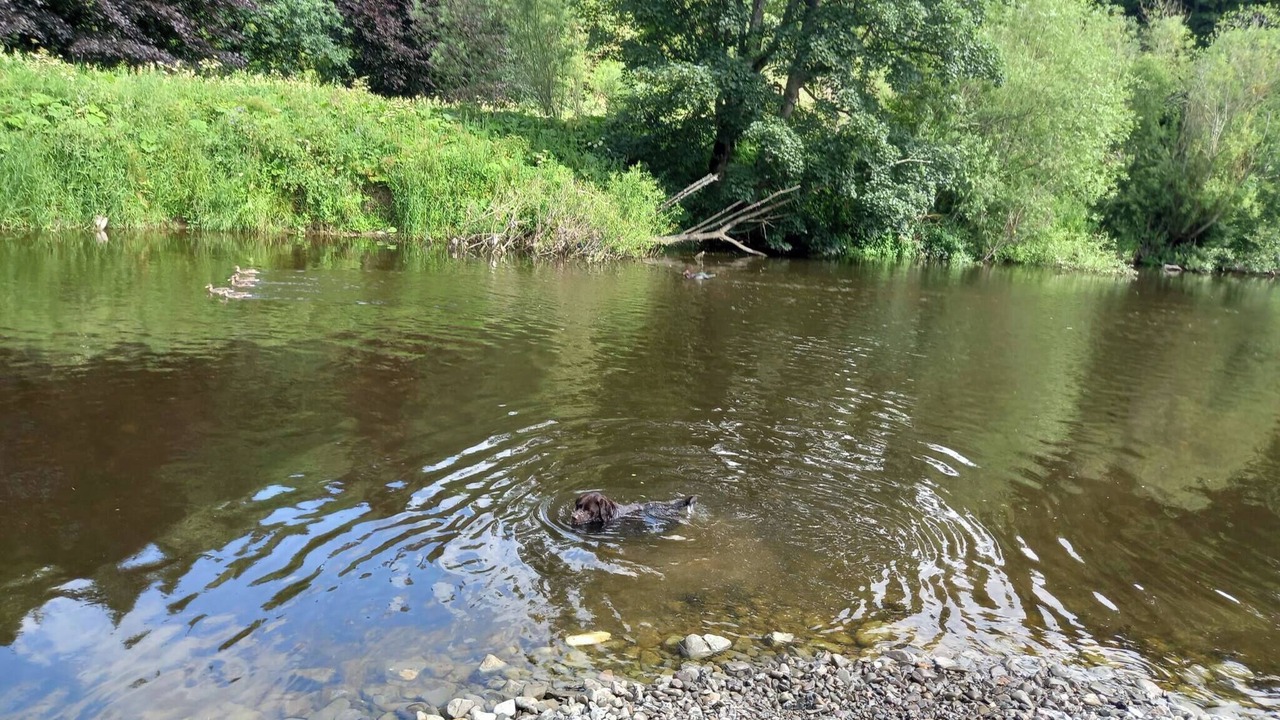 Photo of Others in Hawick