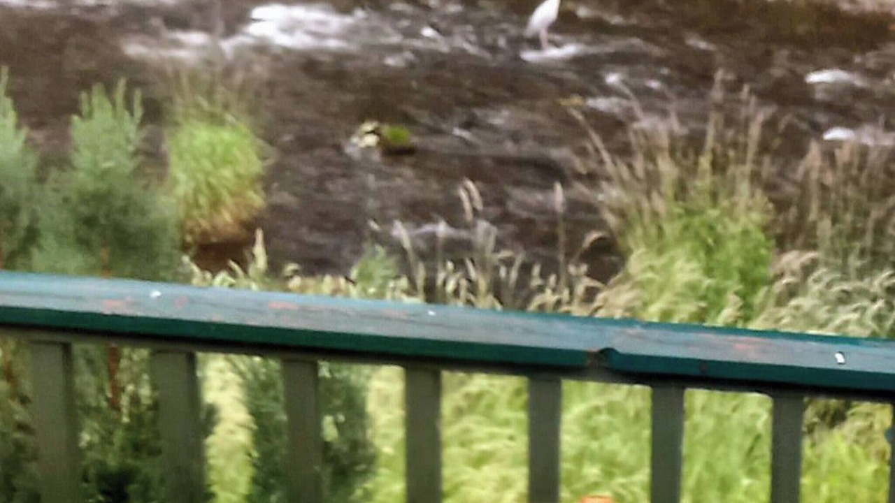 Photo of Outdoor in Hawick