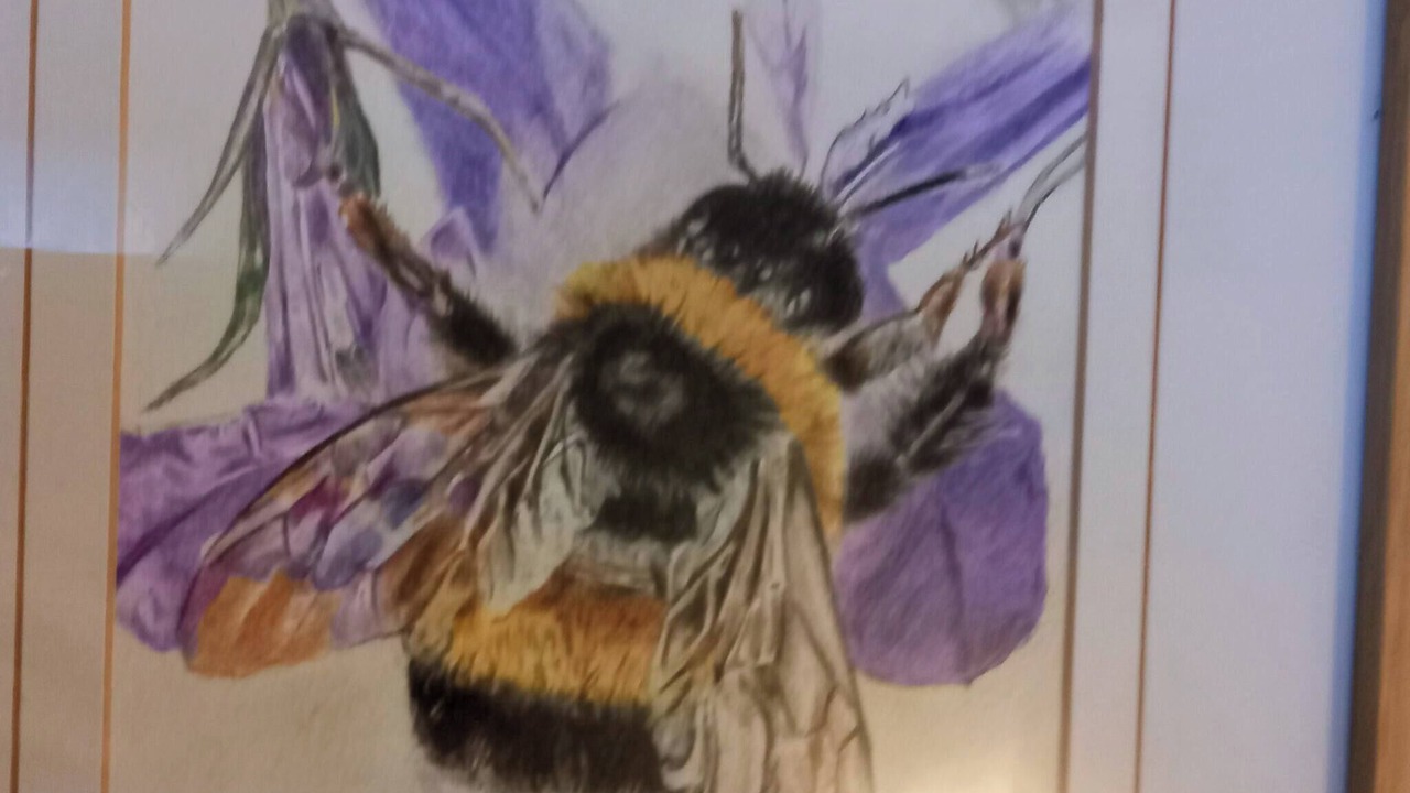 Photo of Others in Hawick