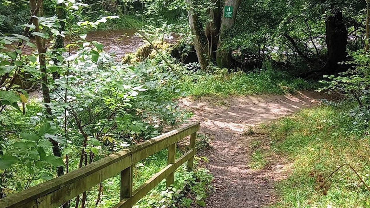 Photo of Others in Hawick