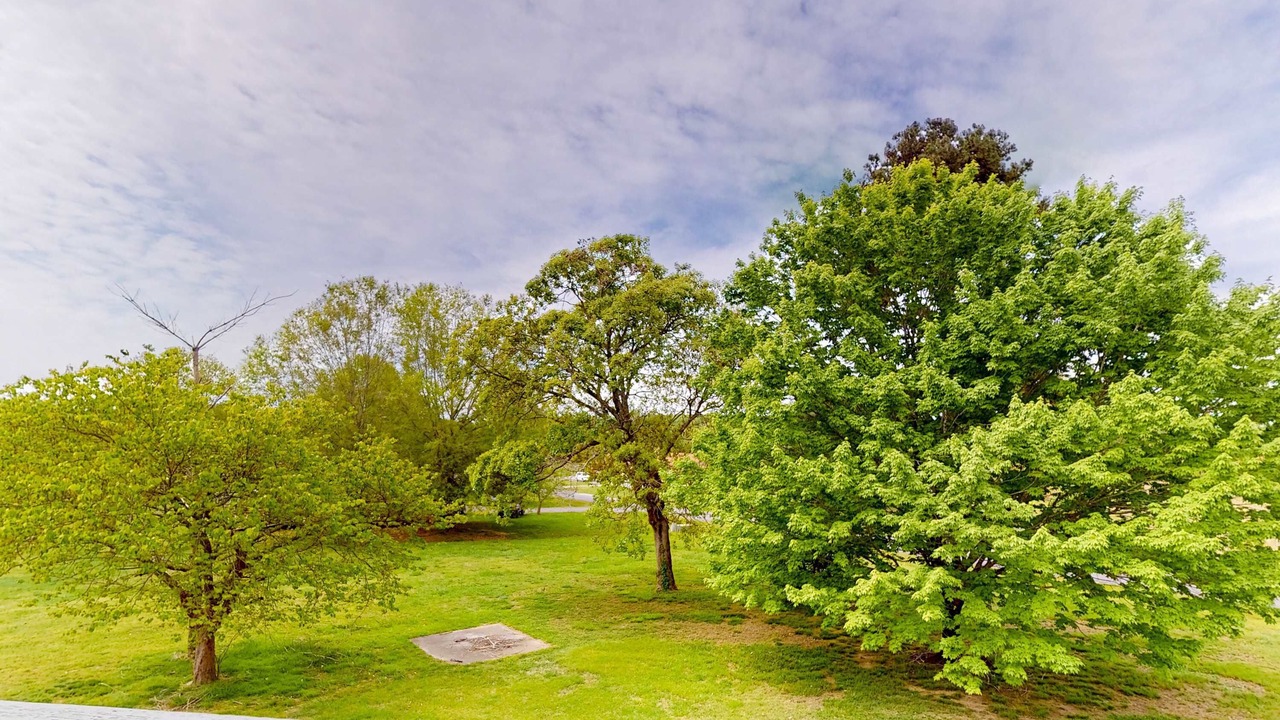Photo of Outdoor in Baneberry