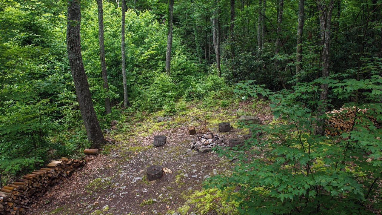 Photo of Outdoor in Smoky Mountains