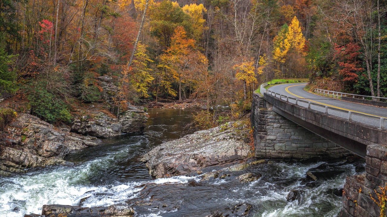 Photo of Others in Smoky Mountains