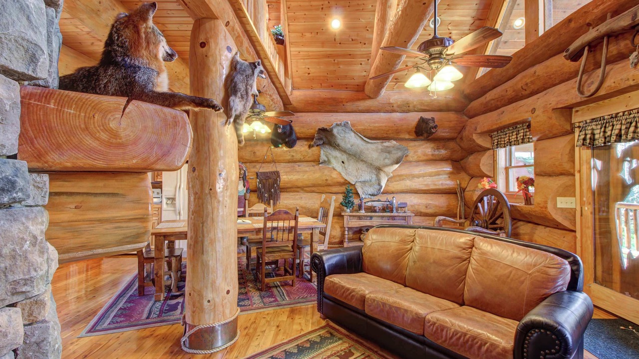 Photo of Livingroom in Smoky Mountains