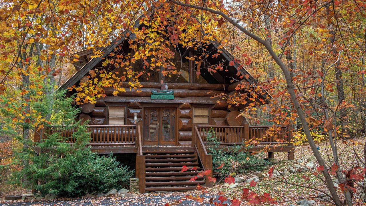 Photo of Outdoor in Smoky Mountains