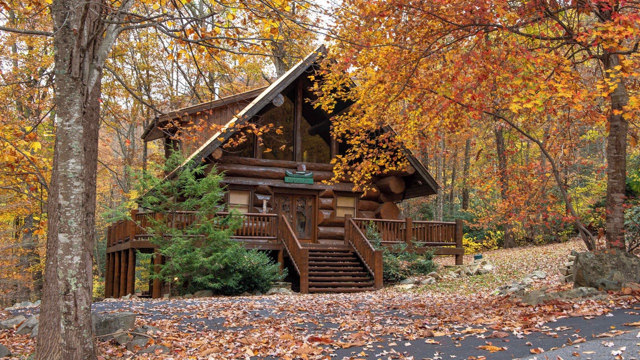Photo of Outdoor in Smoky Mountains