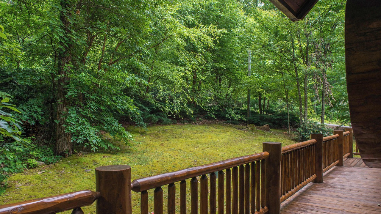 Photo of Outdoor in Smoky Mountains