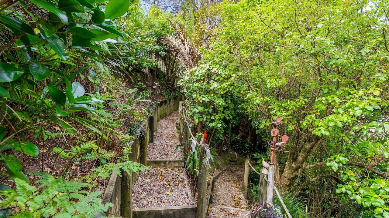 Photo of Outdoor in Whangateau