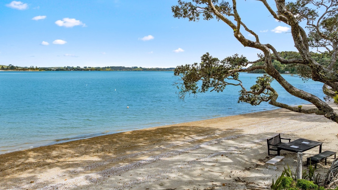 Photo of Others in Whangateau