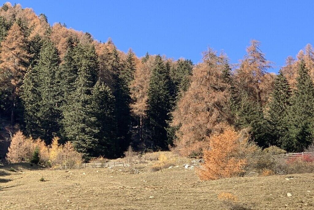 Photo of Others in Val Muestair