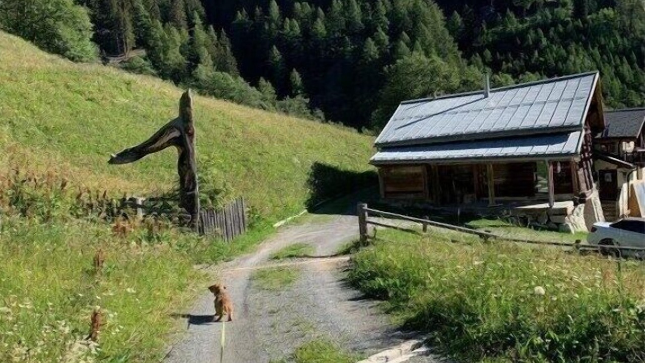 Photo of Others in Val Muestair