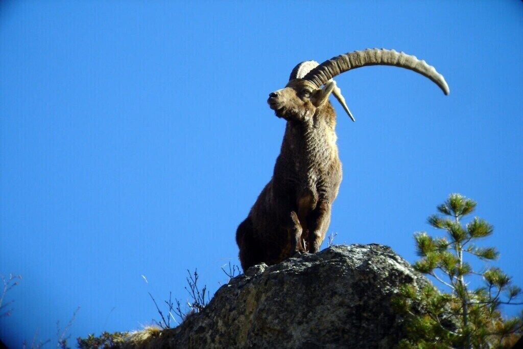 Photo of Others in Val Muestair