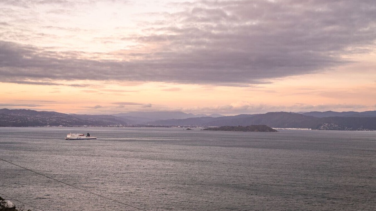 Photo of Others in Wellington