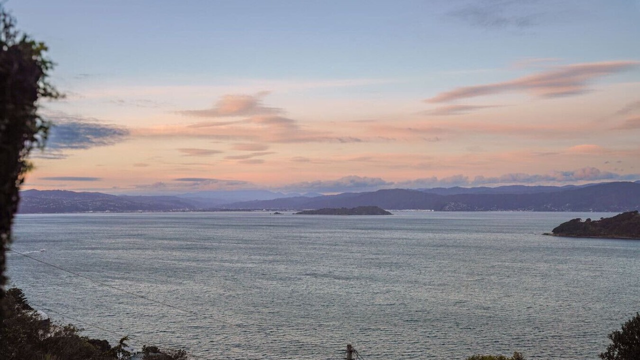 Photo of Others in Wellington