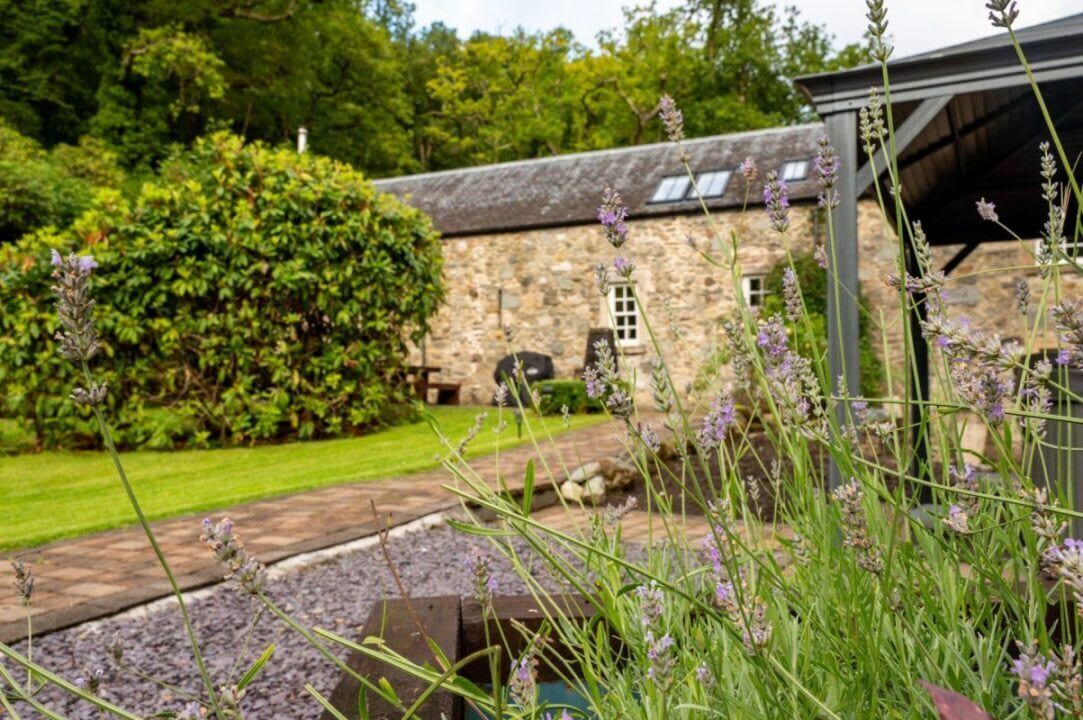 Photo of Outdoor in Arrochar