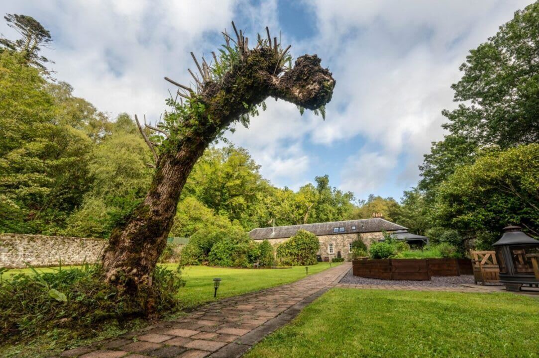 Photo of Outdoor in Arrochar