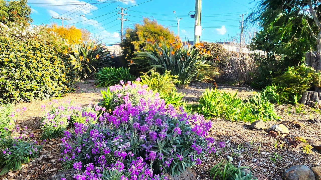 Photo of Outdoor in Highett