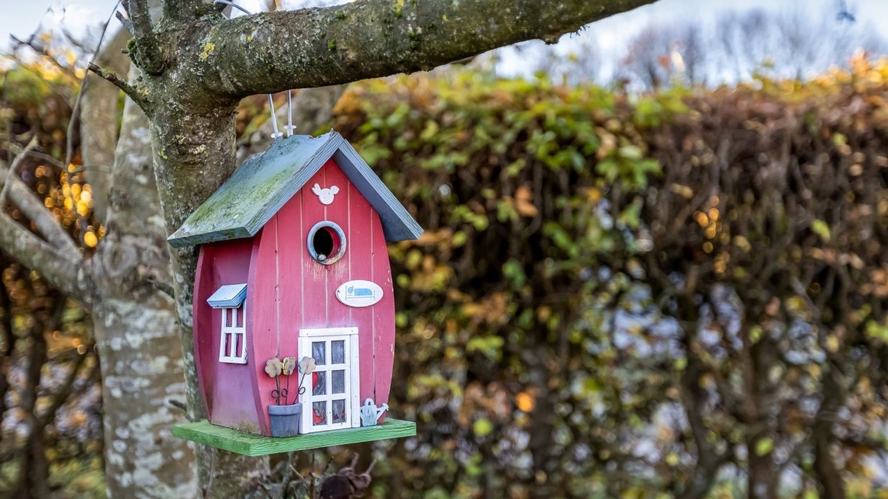 Photo of Outdoor in Bjert