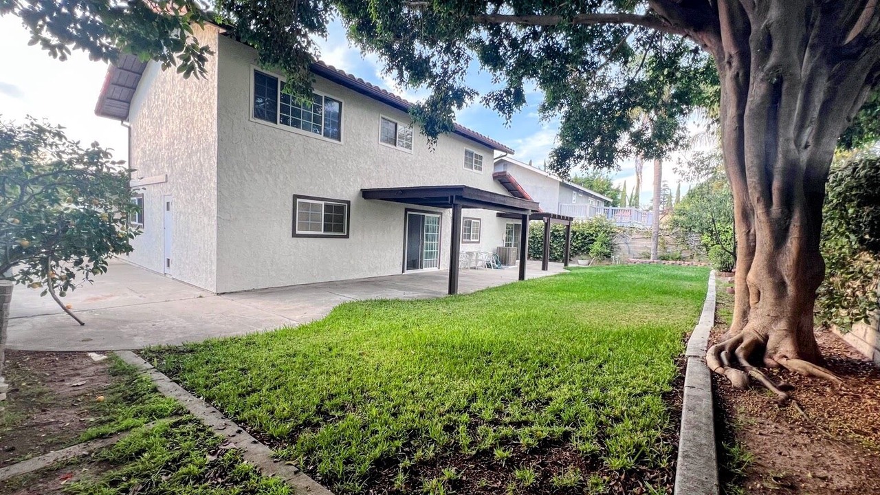 Photo of Outdoor in Orange