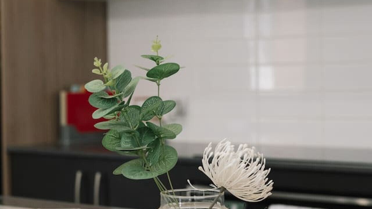 Photo of Others in Deebing Heights