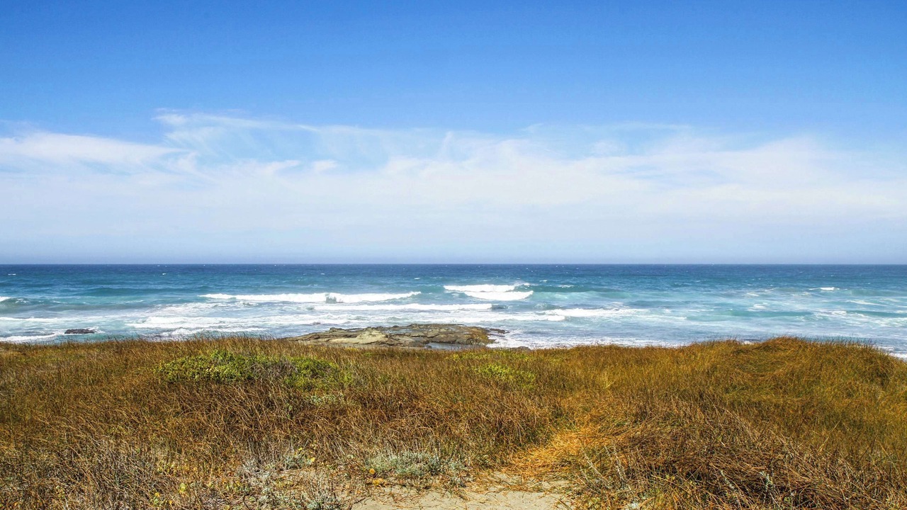 Photo of Others in Fort Bragg