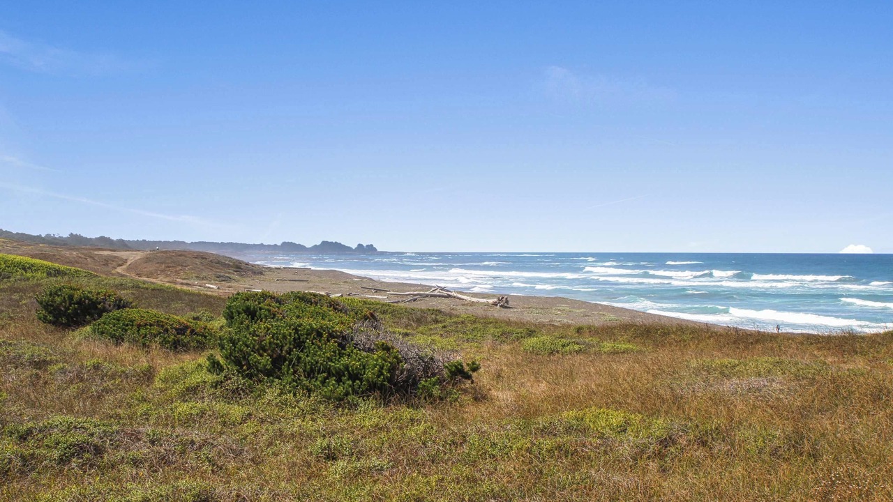 Photo of Others in Fort Bragg