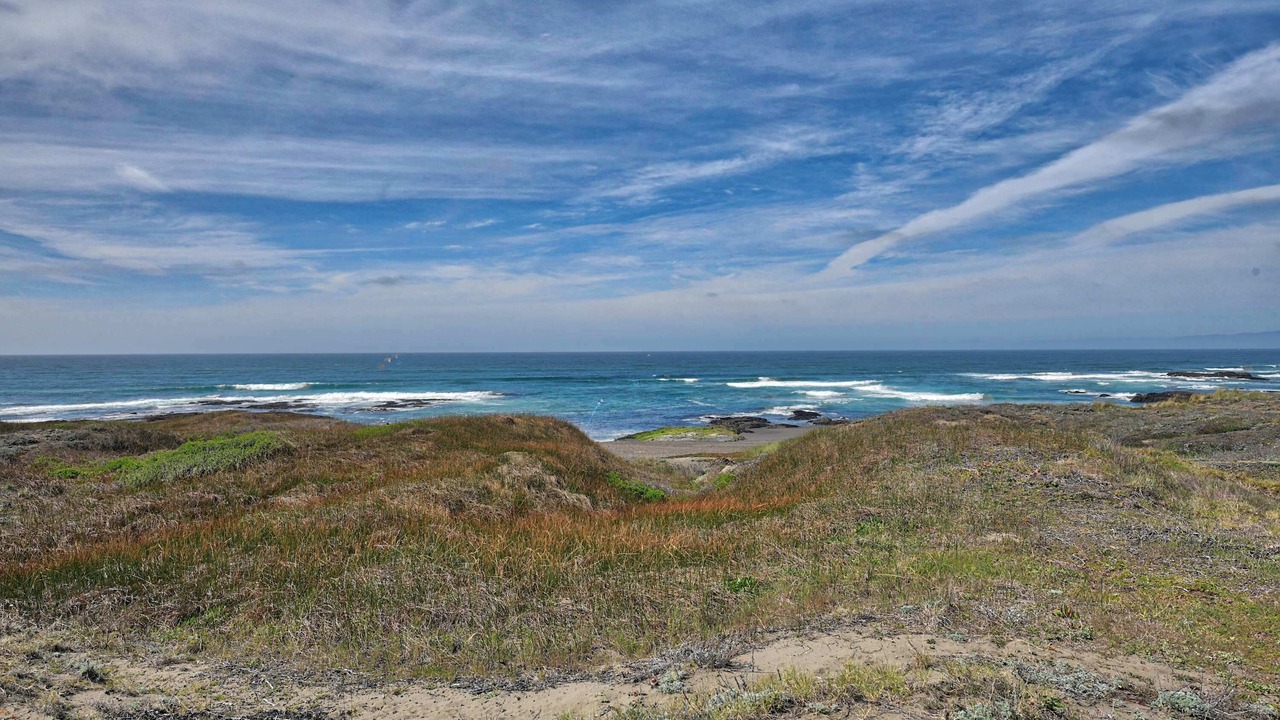 Photo of Others in Fort Bragg