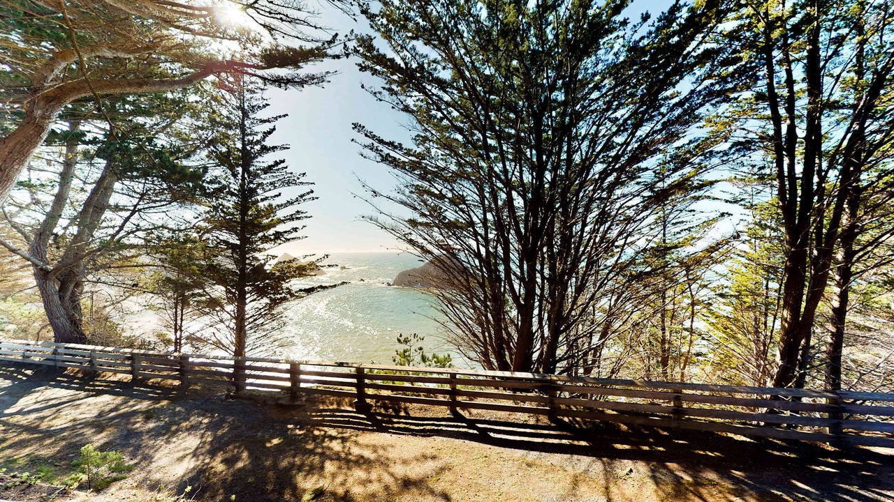 Photo of Others in Elk