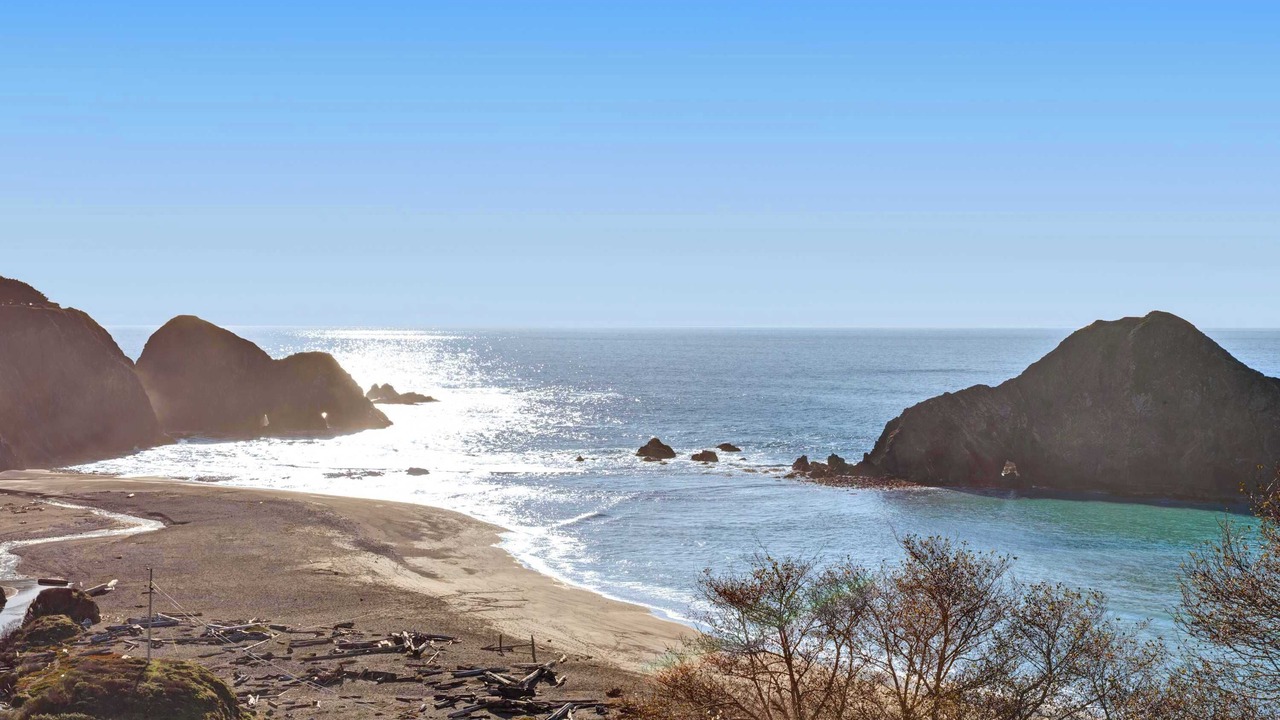 Photo of Others in Elk