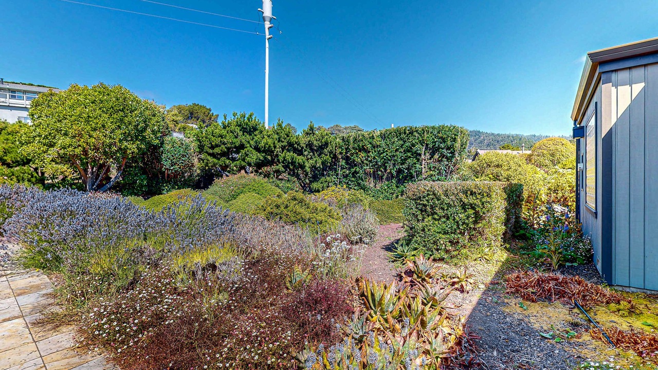 Photo of Outdoor in Manchester