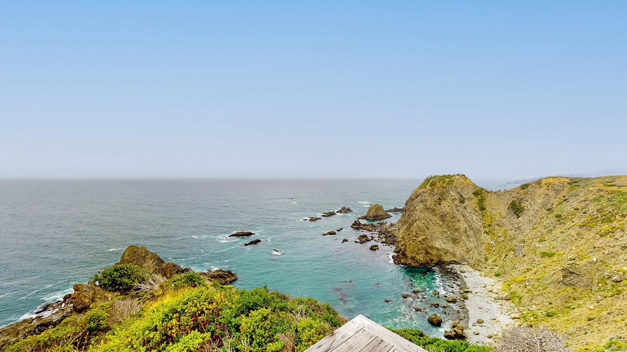 Photo of Others in Elk