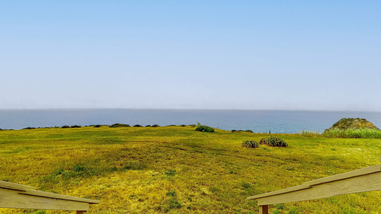 Photo of Others in Elk