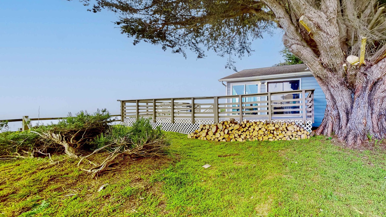 Photo of Outdoor in Elk