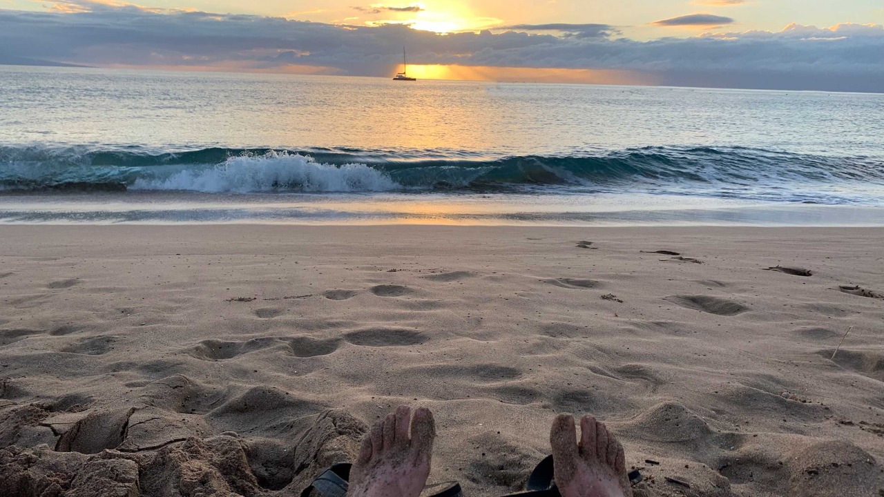 Photo of Others in Elk