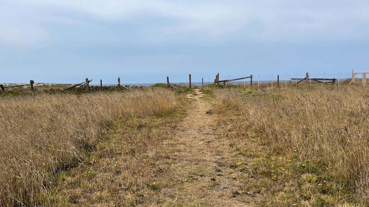 Photo of Others in Fort Bragg