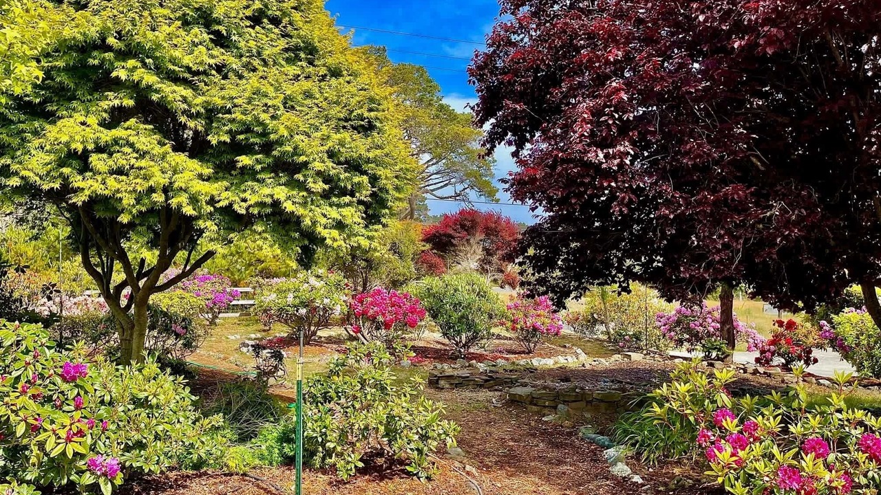 Photo of Outdoor in Fort Bragg