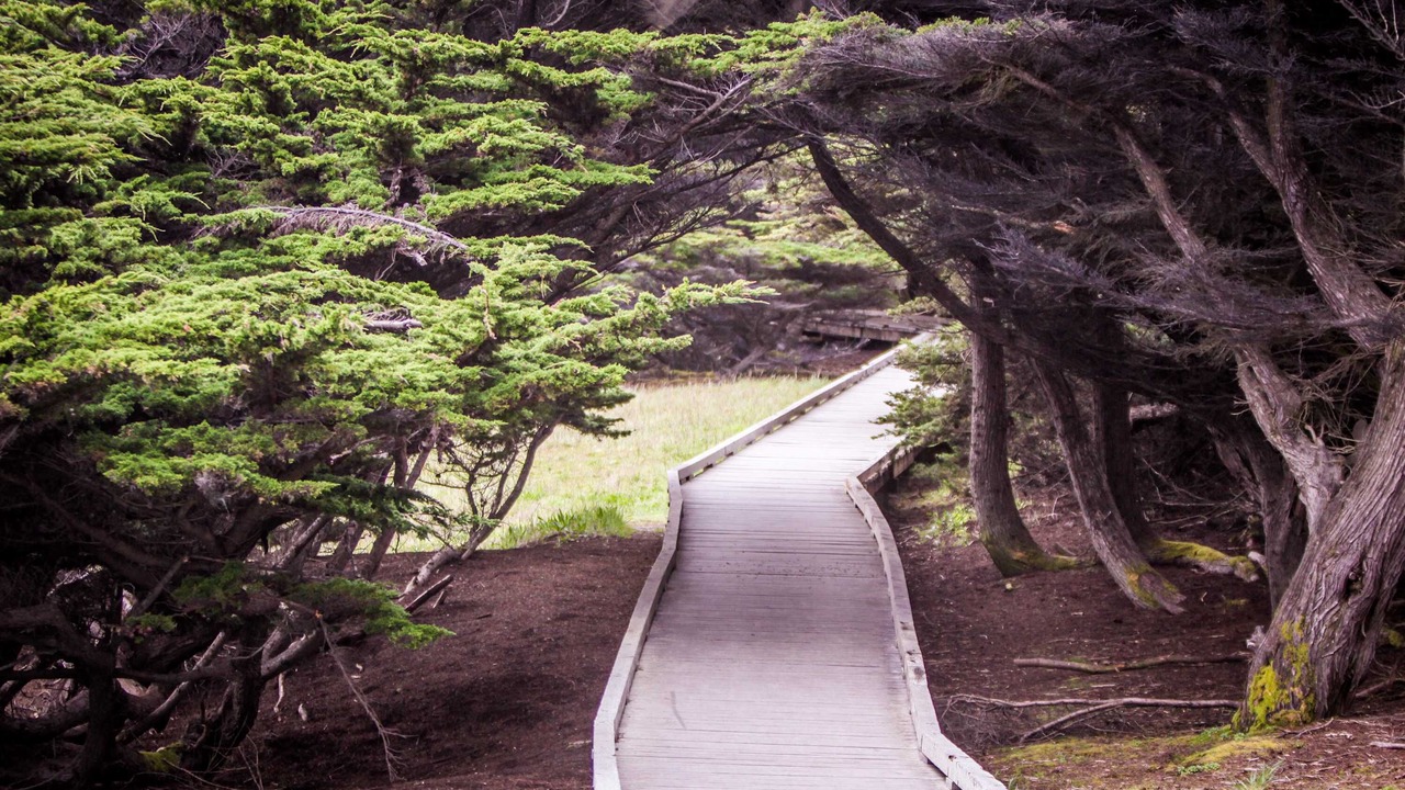 Photo of Outdoor in Fort Bragg
