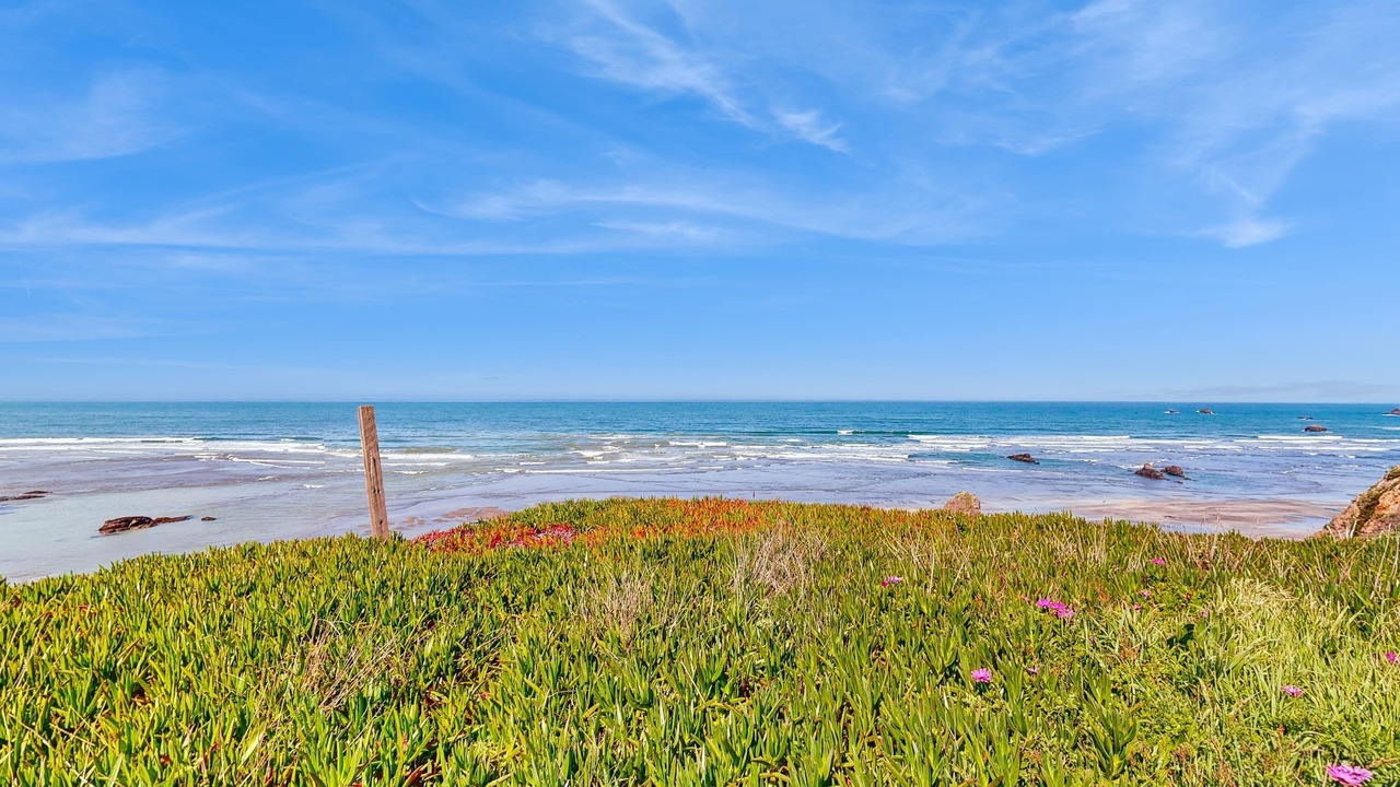 Photo of Others in Fort Bragg