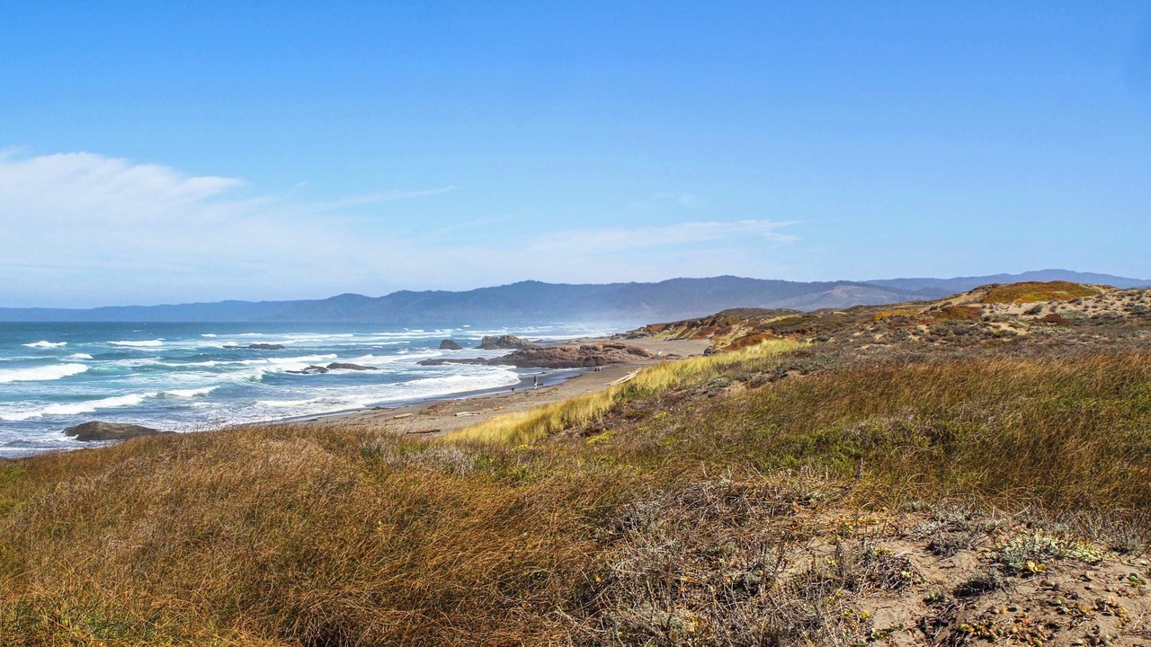 Photo of Others in Fort Bragg