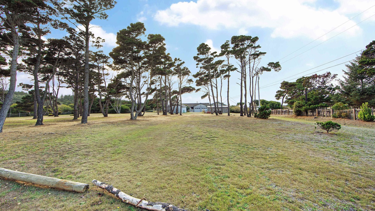 Photo of Outdoor in Fort Bragg