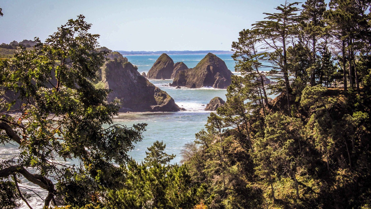 Photo of Others in Elk