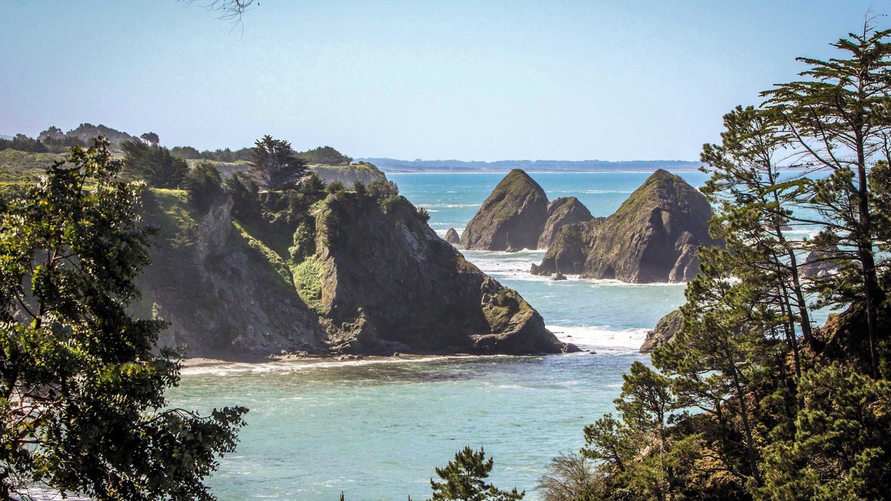 Photo of Others in Elk