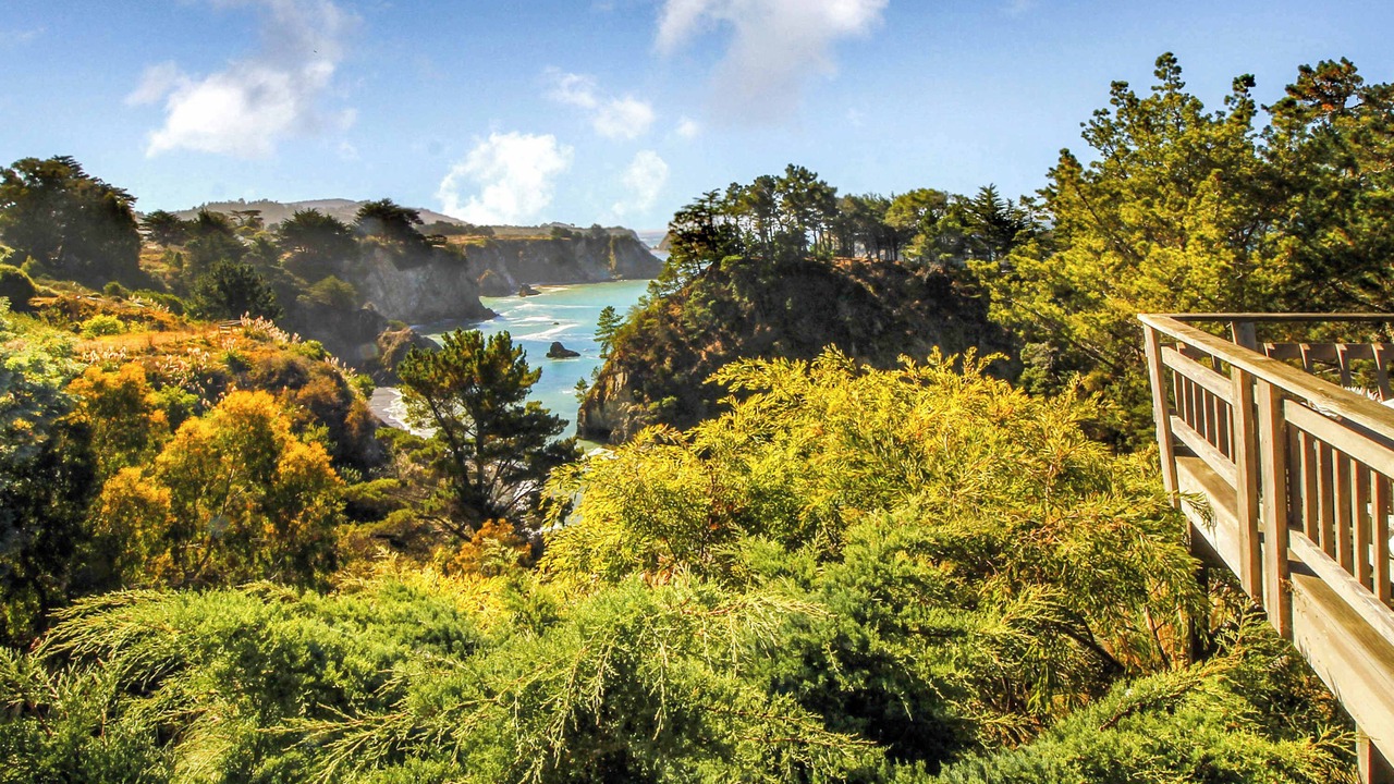 Photo of Others in Elk