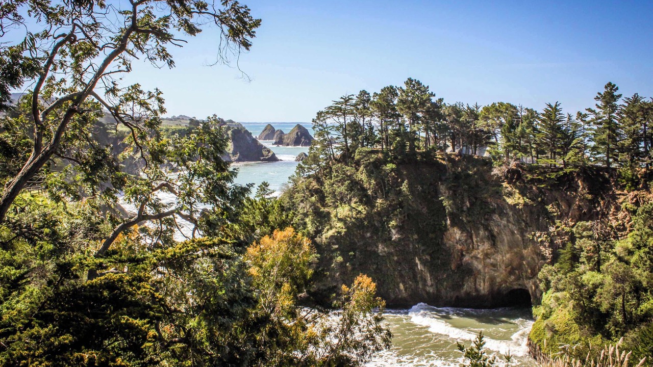 Photo of Others in Elk